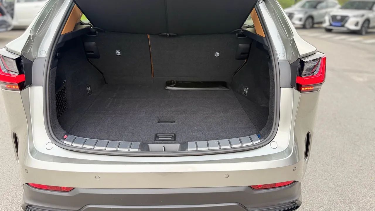 Lexus NX-450h+ AWD 2.5 16V Aut. (Híbrido), foto 6 de 13