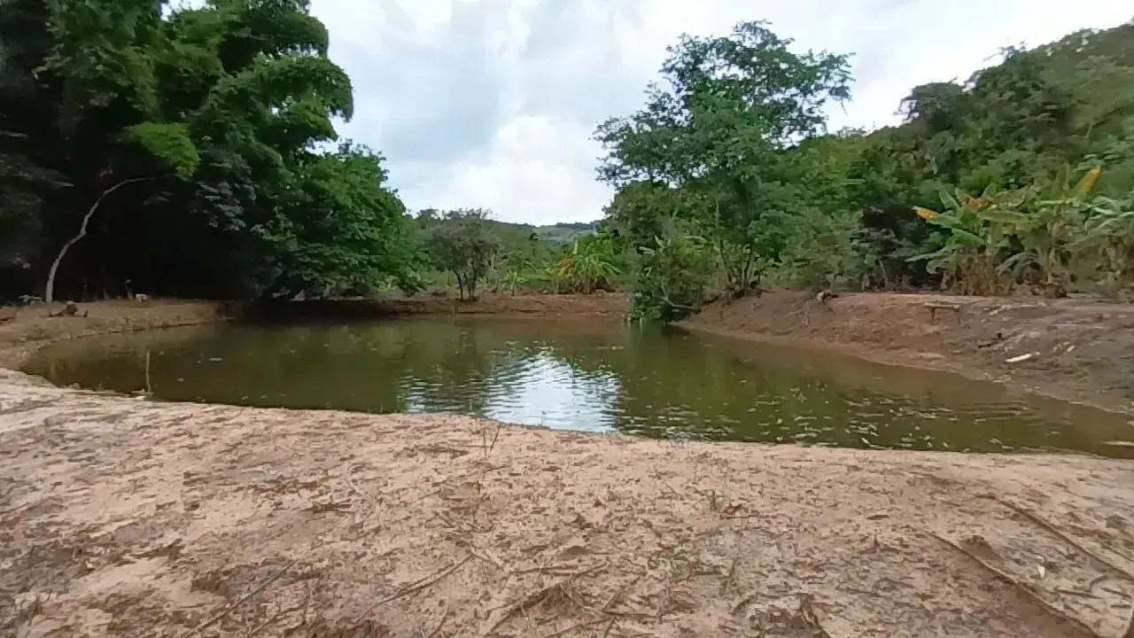 Fazenda/Sítio/Chácara para venda possui 170 metros quadrados com 3 quartos - Foto 4