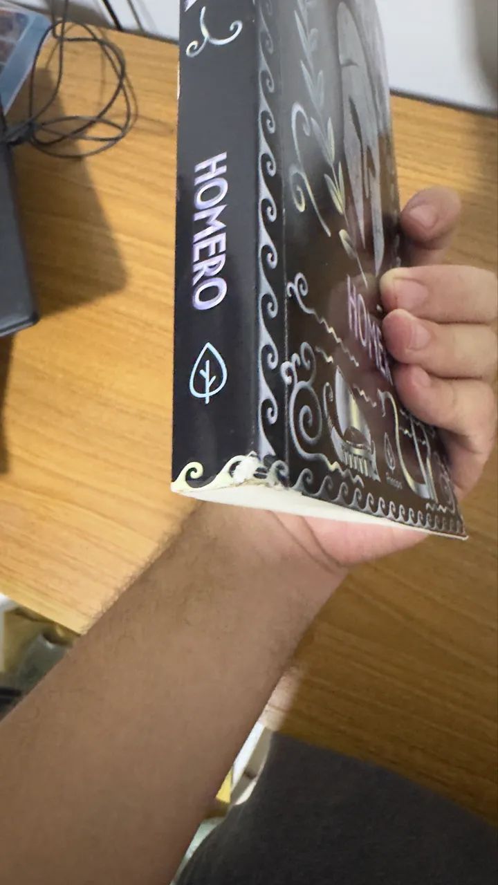 A Odisseia | Livro  - Foto 4
