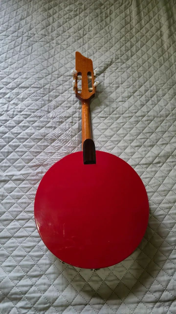 Banjo Rogério Santos - Foto 2