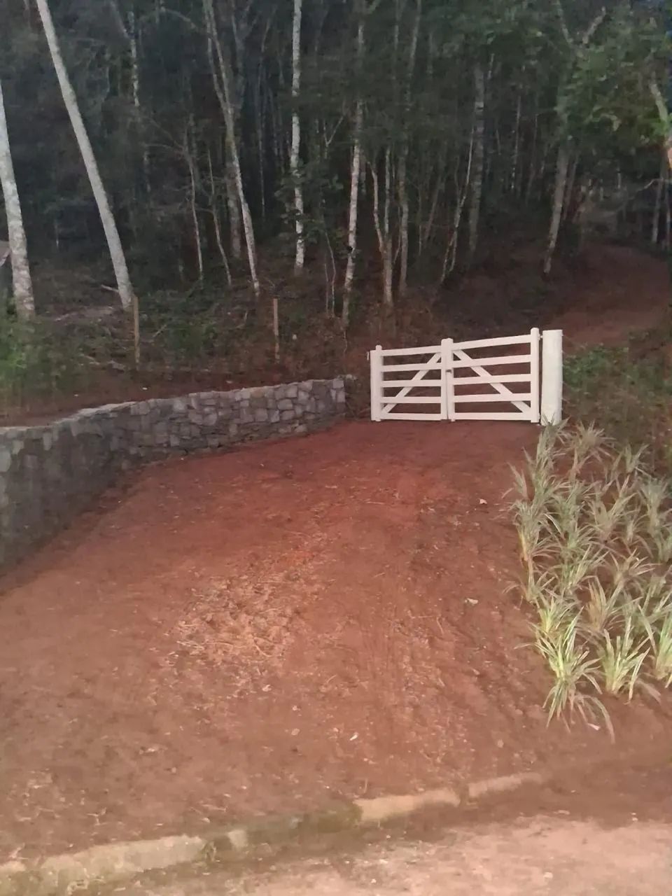 Foto - Nova Friburgo - Campo do Coelho