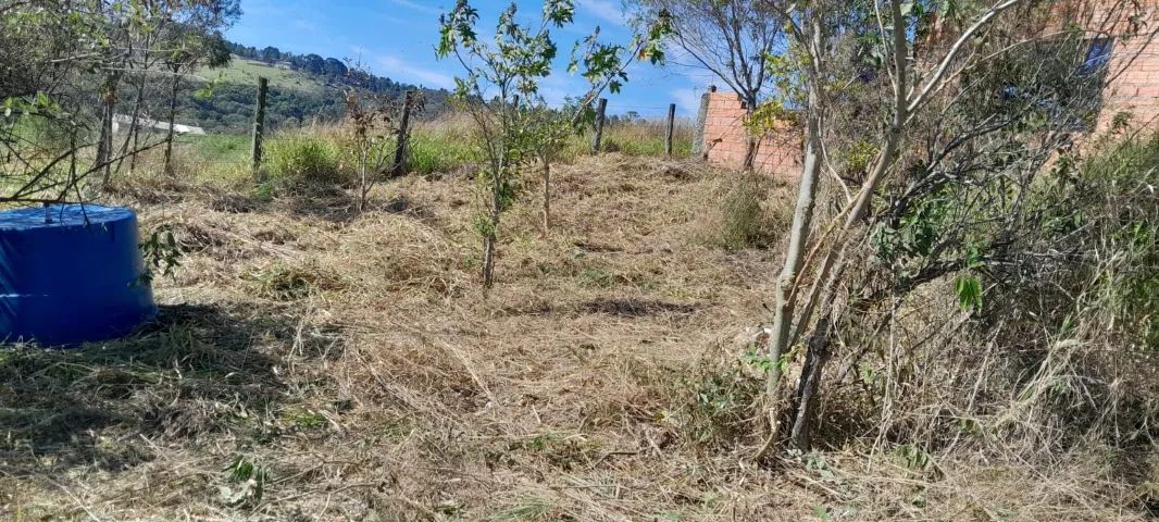 Chácara  - Foto 3