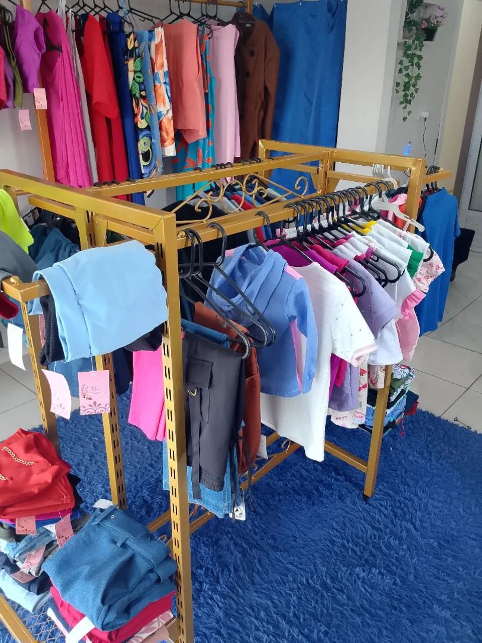 Arara central  - Foto 4