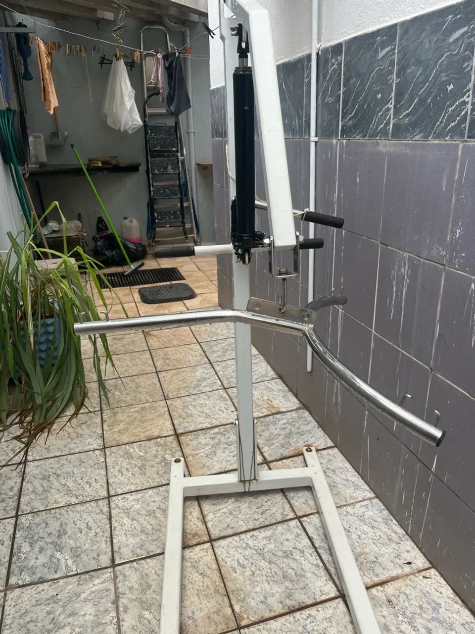 Guincho humano  - Foto 3