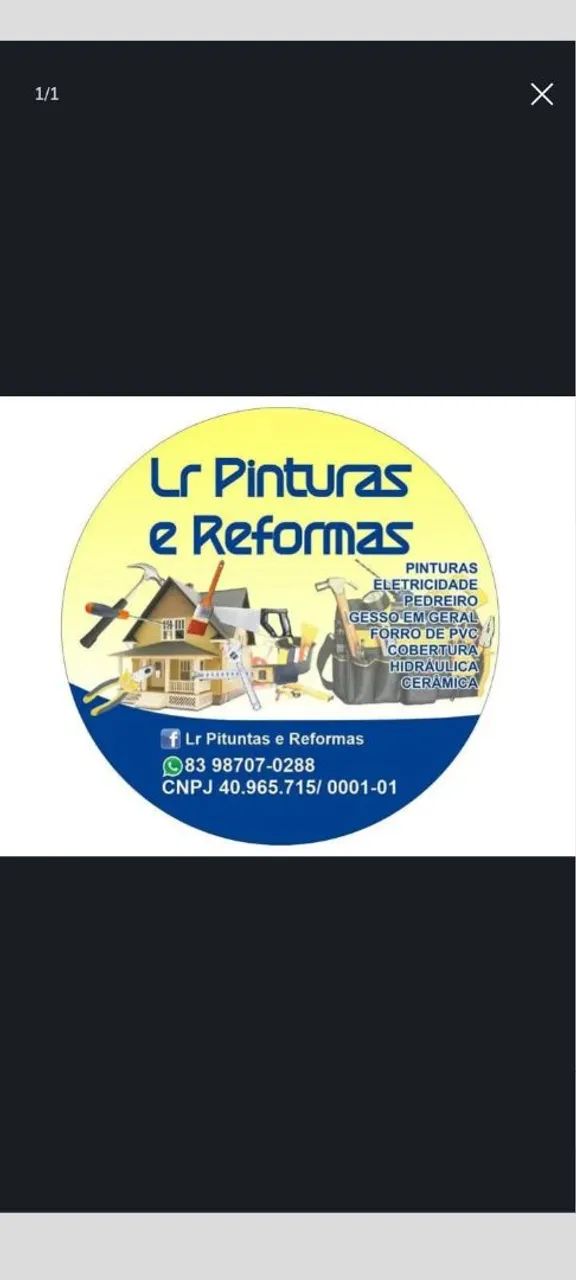 Pintor Profissional.