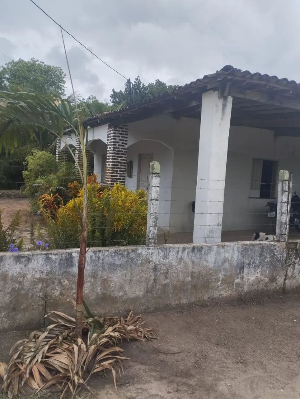 Chácara pra alugar  - Foto 5