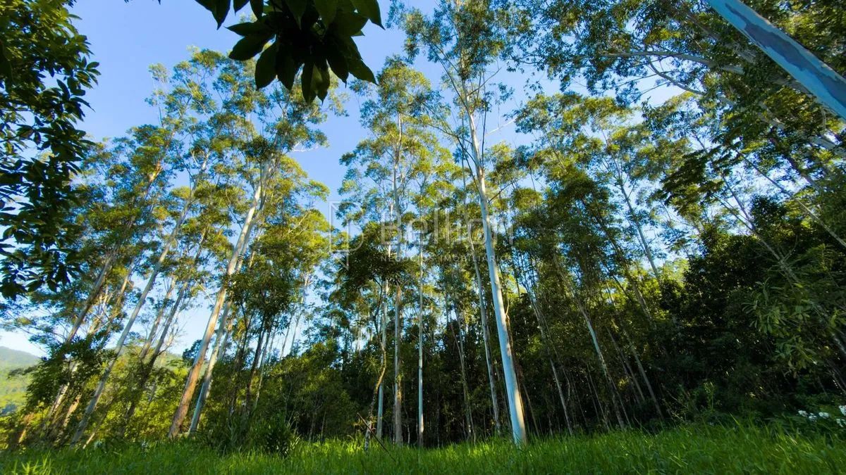 Sítio em Rodeio com ampla área e excelente potencial - Foto 4
