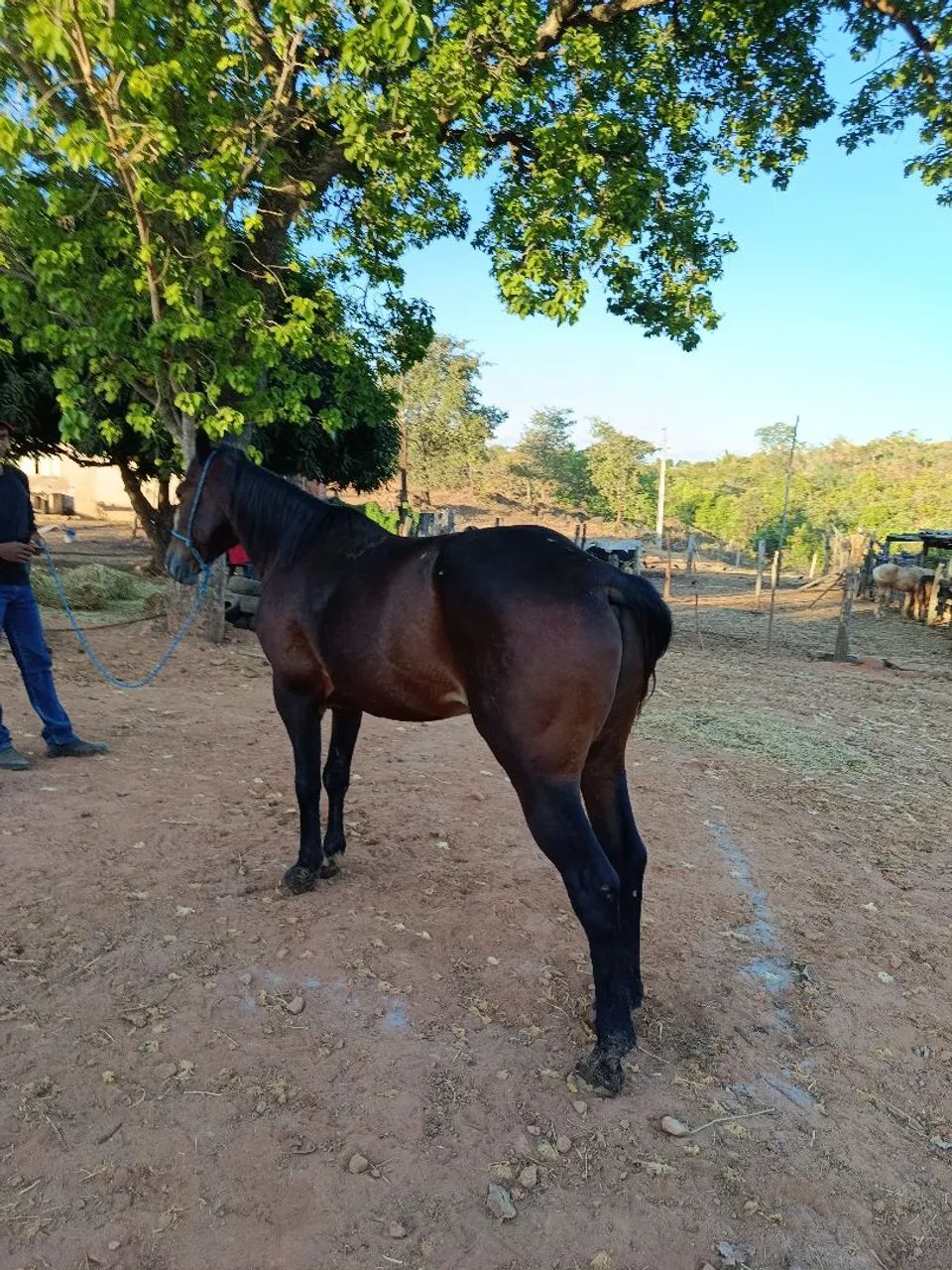vendo ou troco  - Foto 4