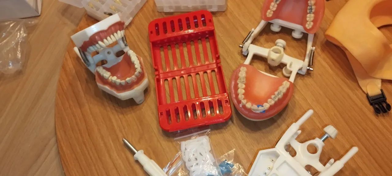 Manequim odontológico  - Foto 2