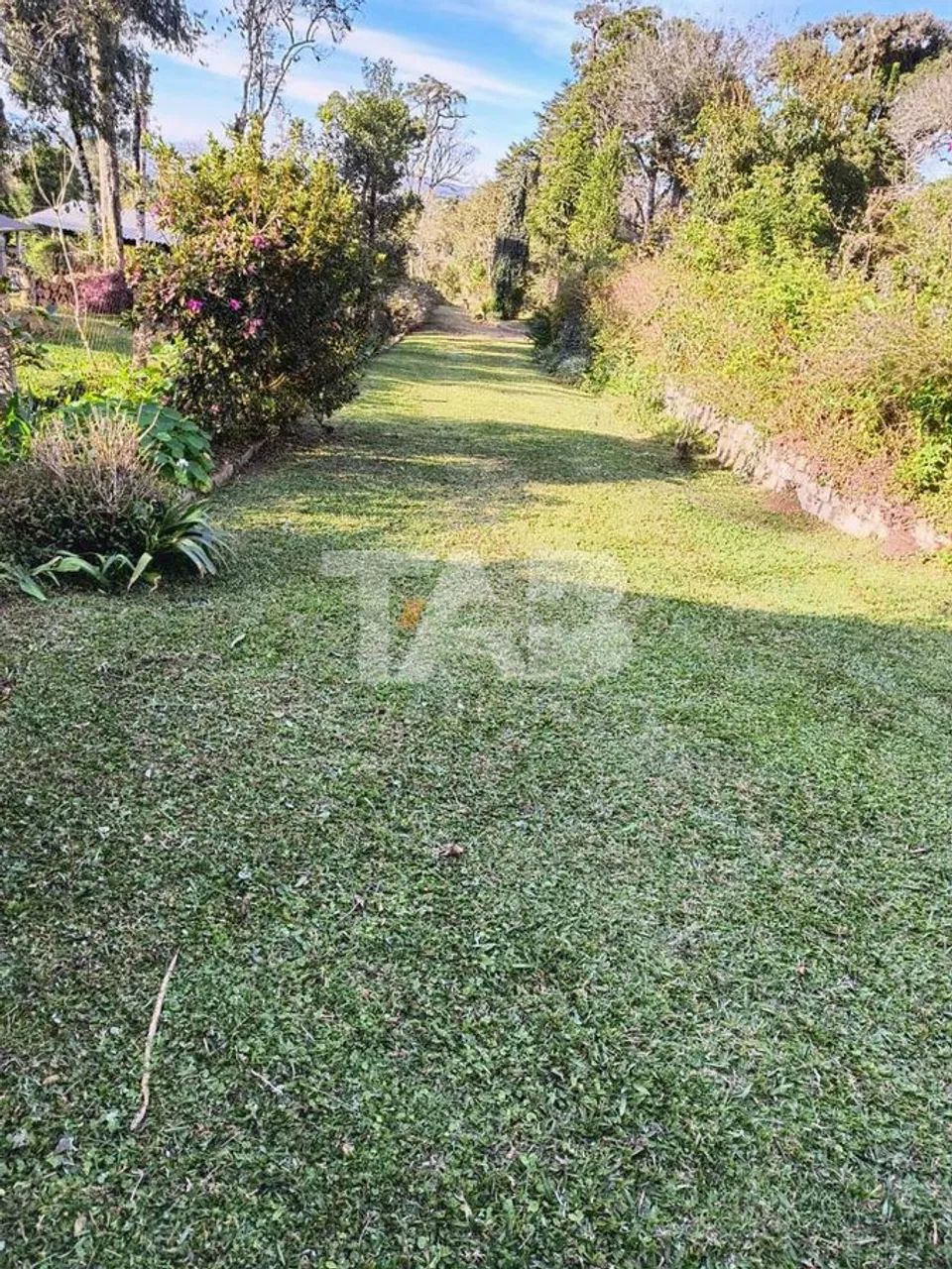Chacará com 10.800m² para venda em campo Alegre - Foto 3