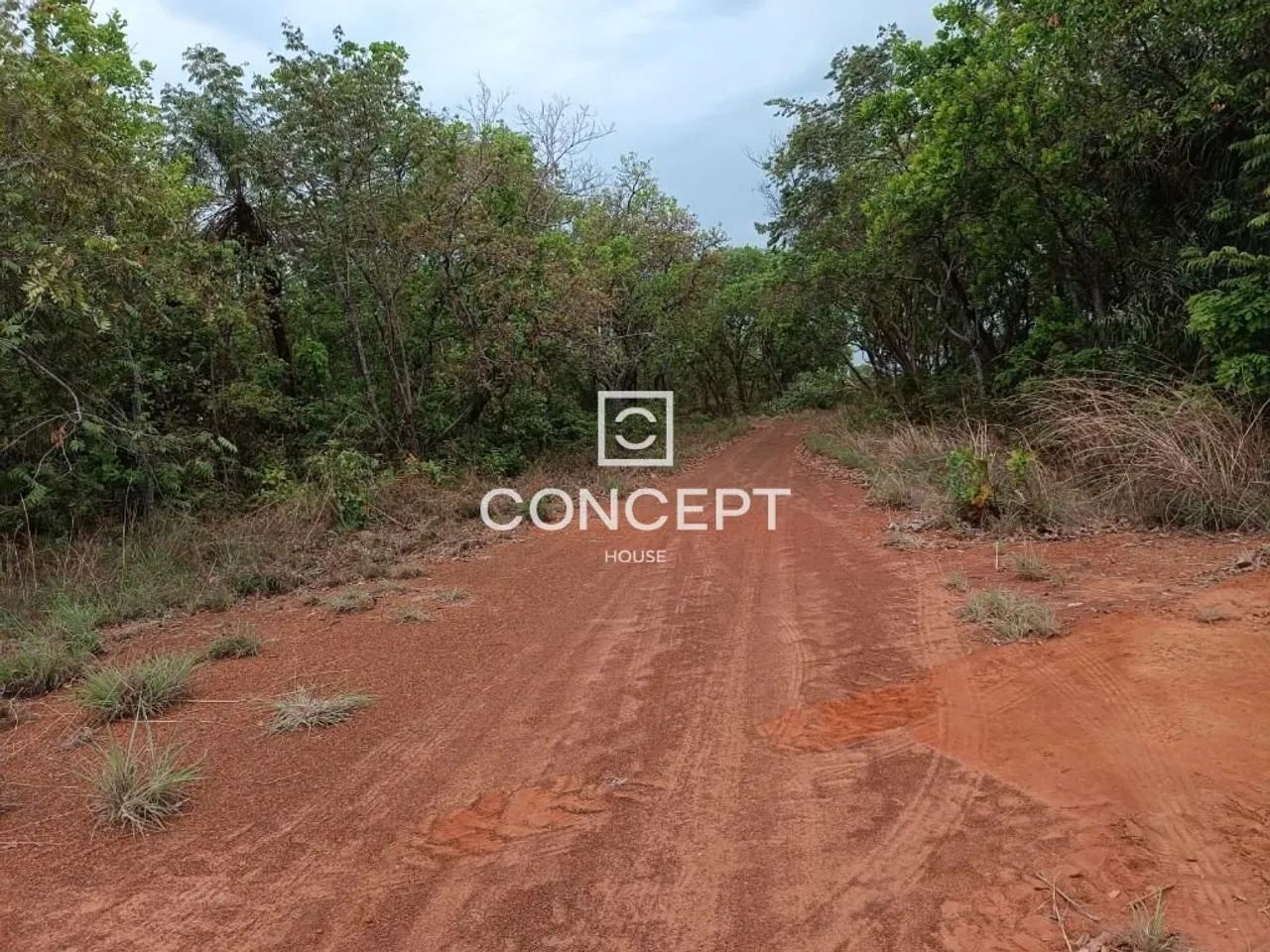 FAZENDA NA REGIÃO DE JANGADA / MT - Foto 3