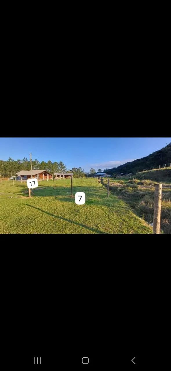 Terreno em Forquilhas - Foto 4
