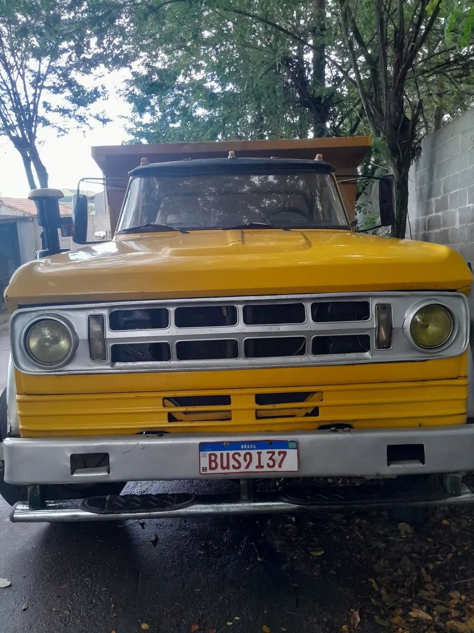 Dog 900 motor mwm direção hidráulica,  - Foto 5