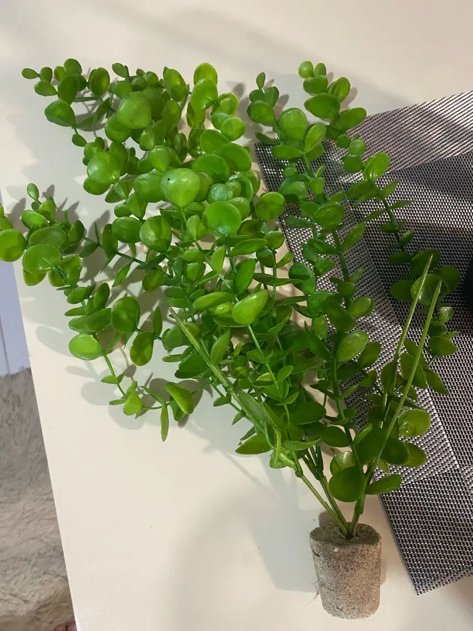 Aquário 100Litros  - Foto 5