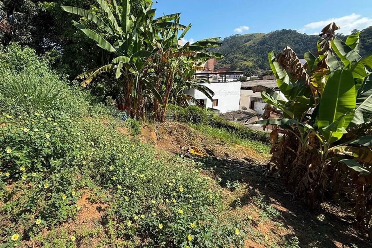 Terreno no Sudeste: Oportunidade Imperdível! - Foto 5