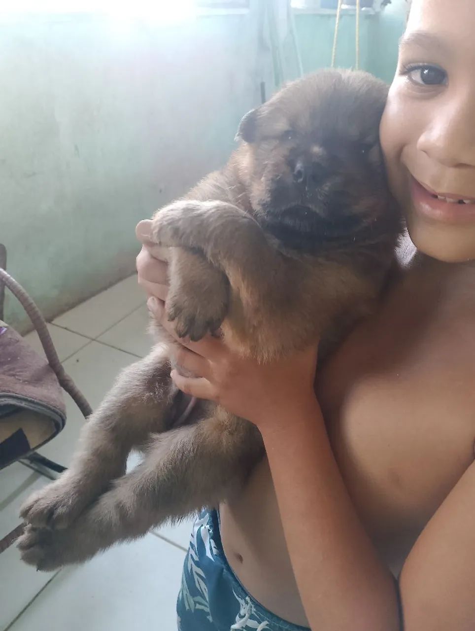 Chow Chow ? - Foto 5