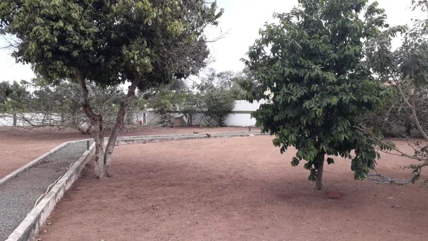 Terreno 4.146,43 m²