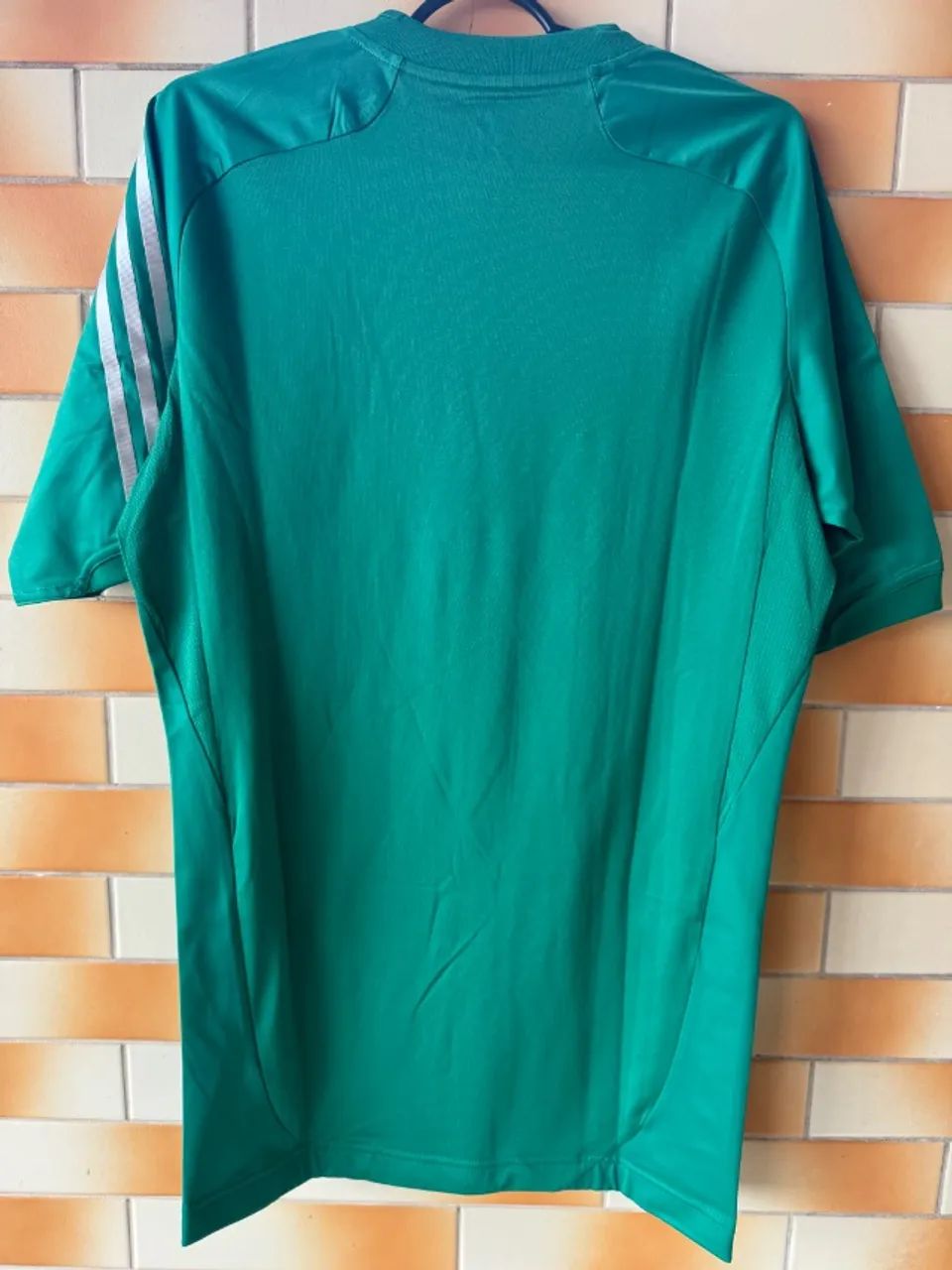 Palmeiras 2012 - Foto 3