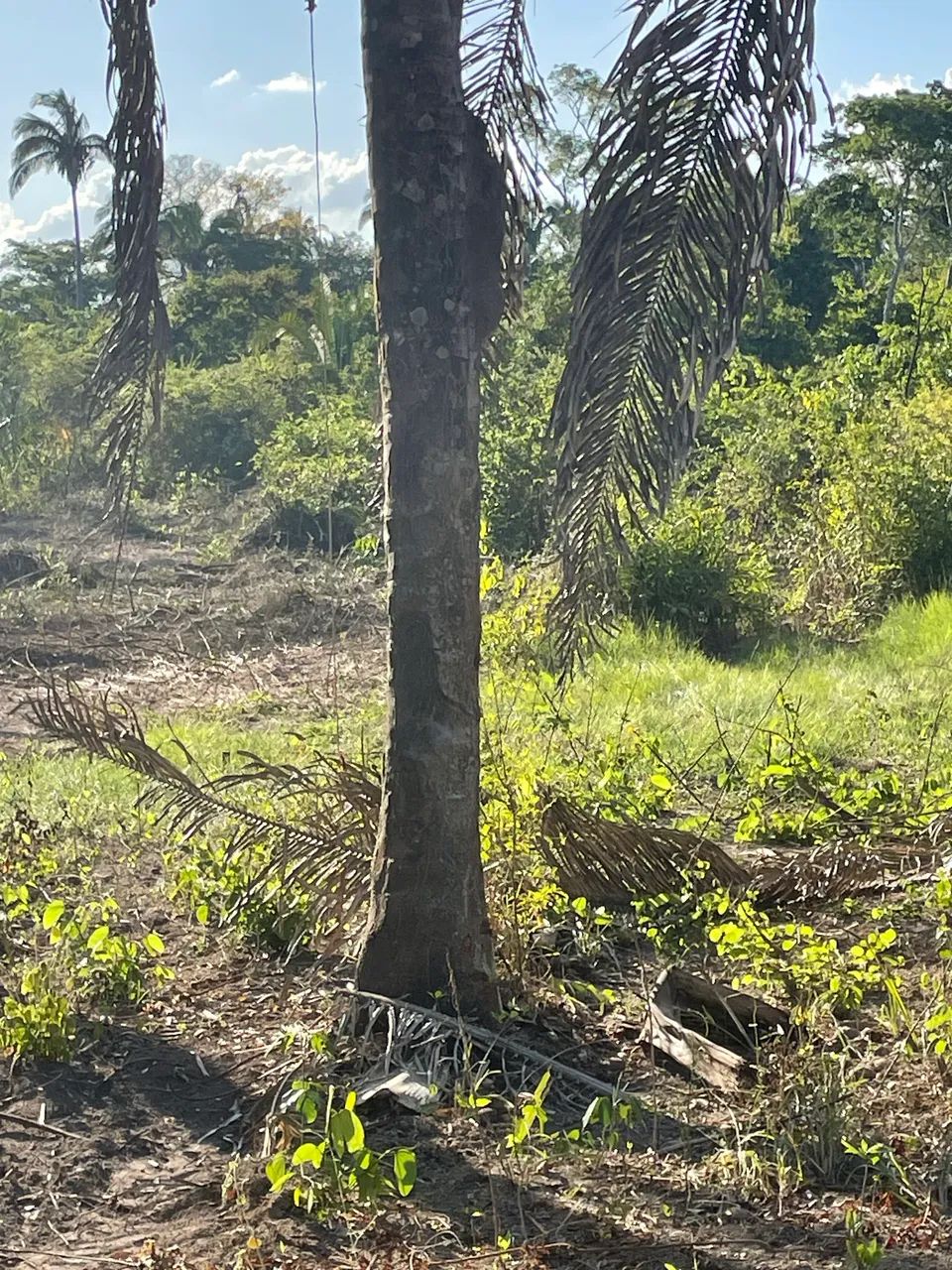 Vendo ágio condomínio de chácaras Real Park - Foto 4