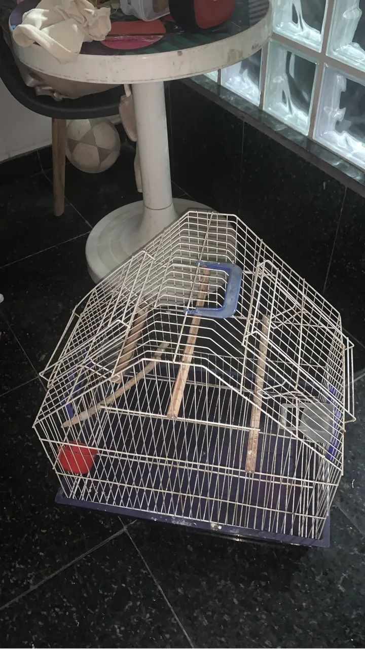 Gaiola de calopsita  - Foto 2
