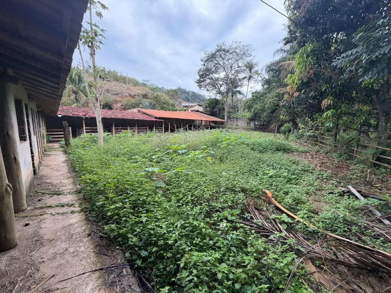 CHÁCARA A VENDA  - Foto 4