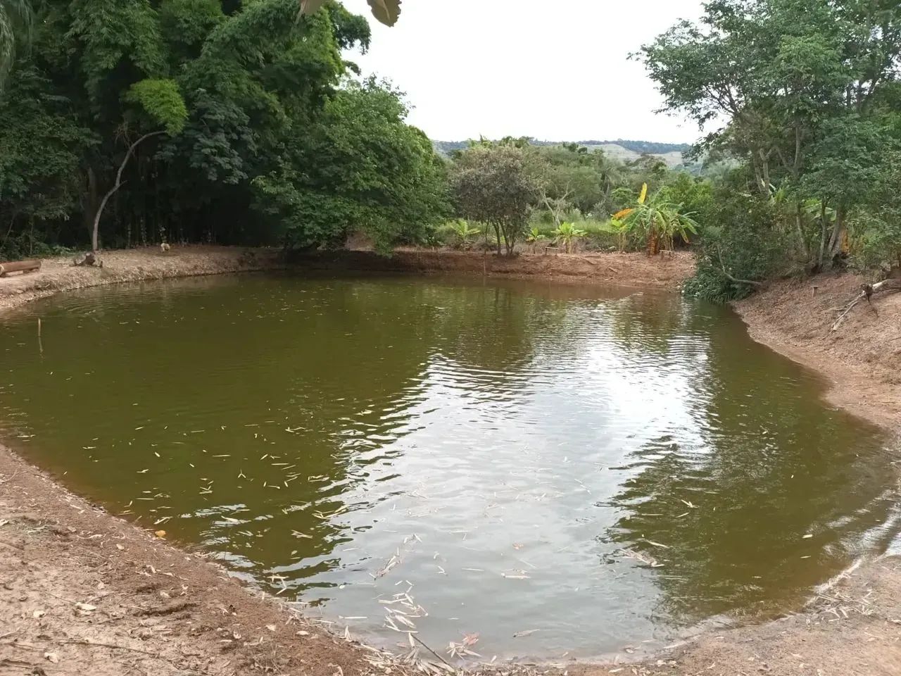 Fazenda/Sítio/Chácara para venda possui 170 metros quadrados com 3 quartos - Foto 6