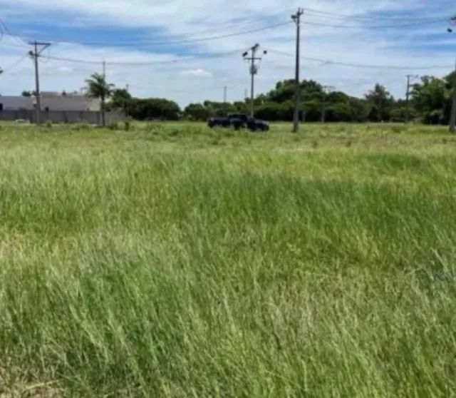 Foto - São João da Barra - 