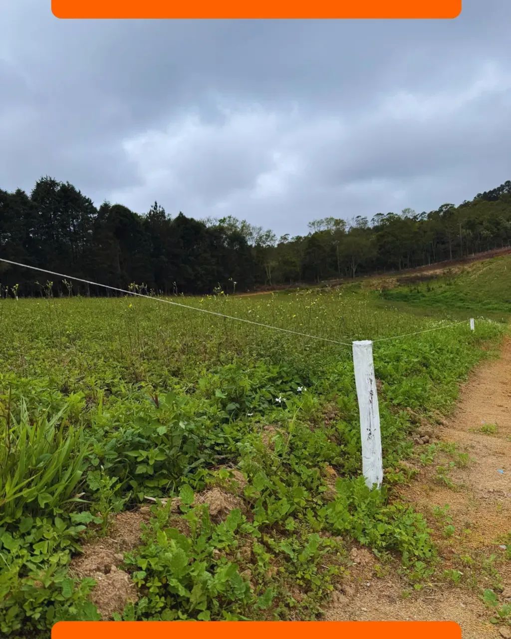 Terreno em Caucaia do Alto barato