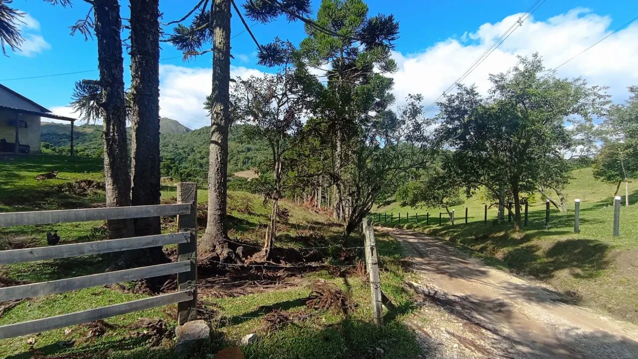 Terreno para chácara em Campo Largo - Foto 3