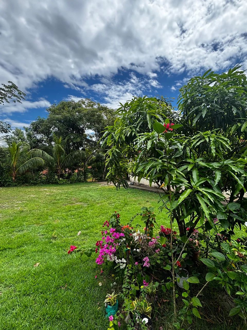 VENDO SÍTIO EM ROSÁRIO - MA - Foto 3