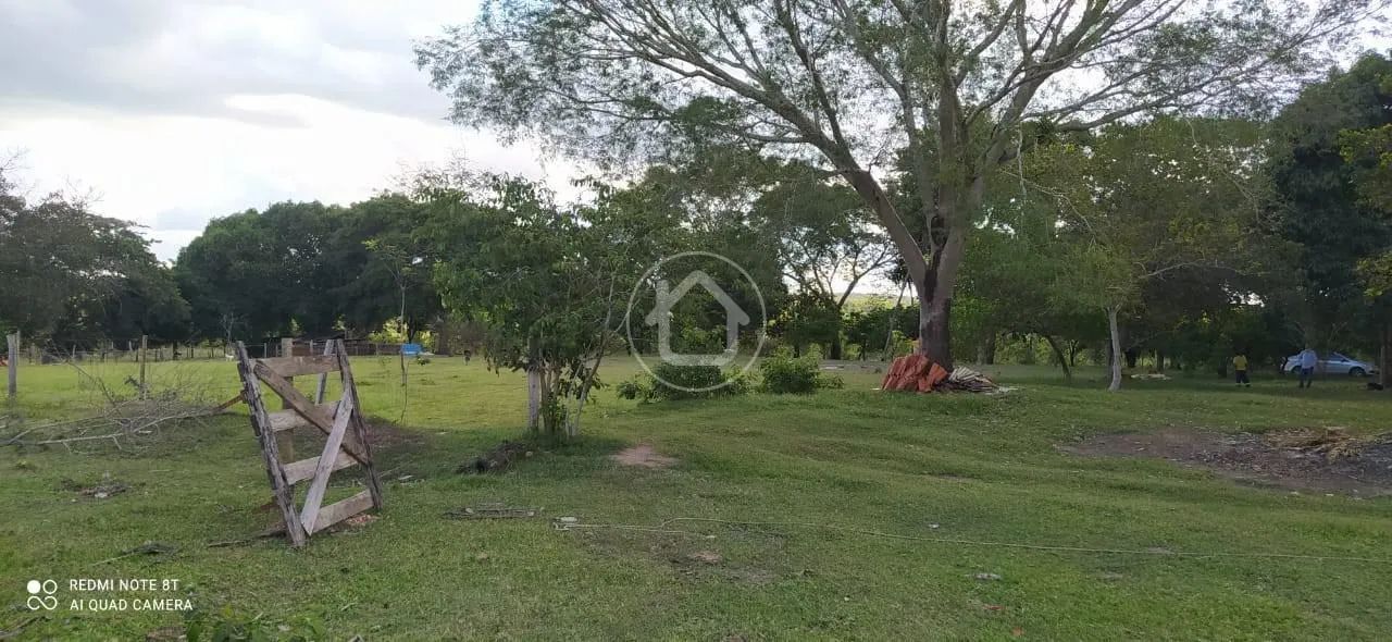 FAZENDINHA 72.5 HCTARES PROXÍMO AO TREVO DO LARGAT - Foto 4