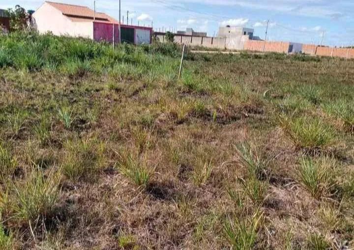 Terreno próx ao trevo do Francês 