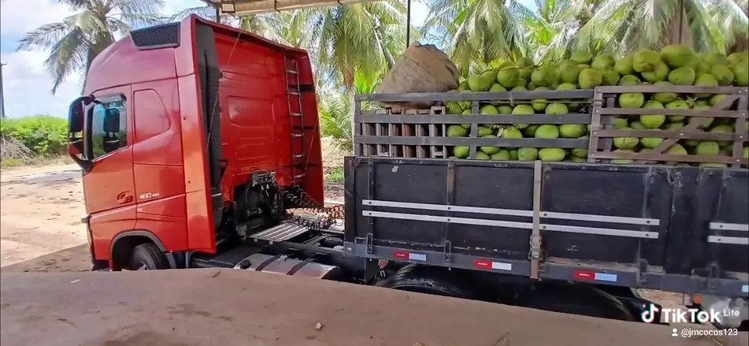 Fh 460 2020 6x2 e carrega guerra 2016 - Foto 3