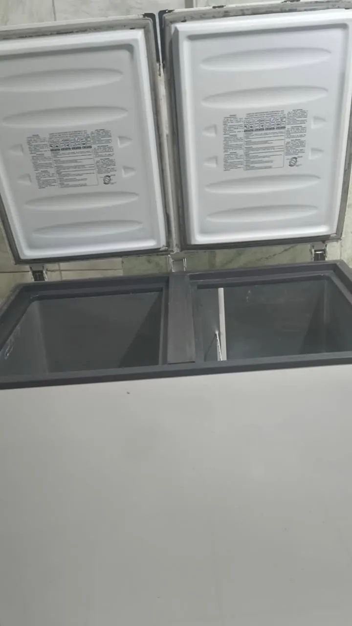 Freezer Esmaltec 303L