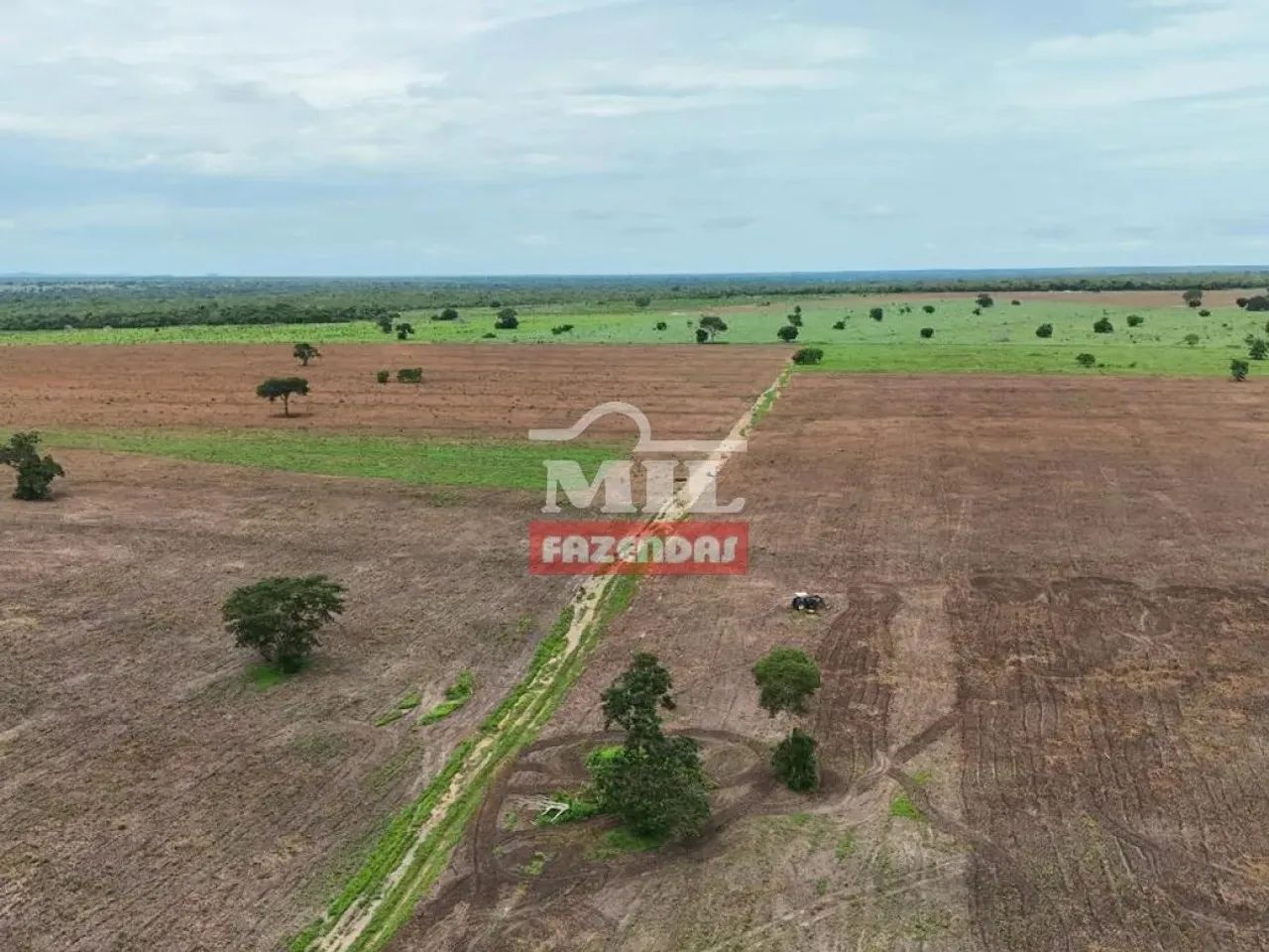 Fazenda 251 Alqueires ( 1.214 hectares ) Peixe - TO - Foto 4