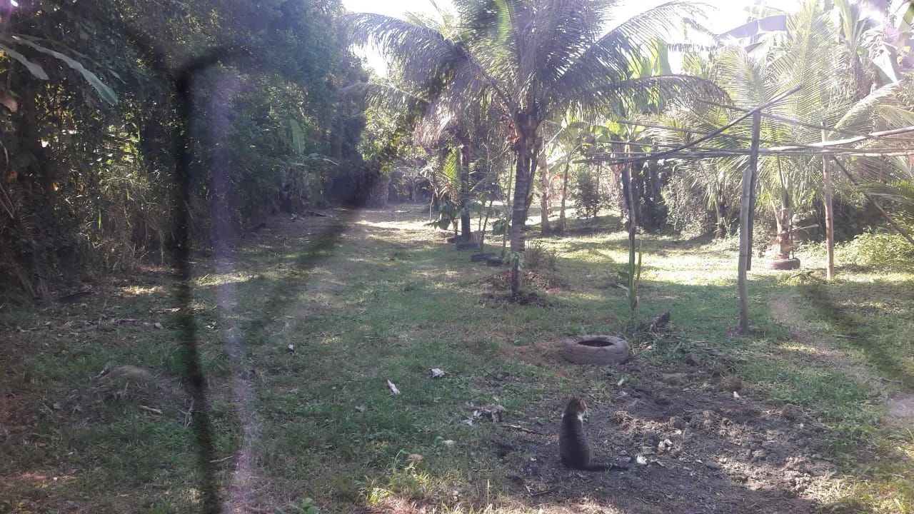 Vendo Sítio em Tinguá - Foto 5