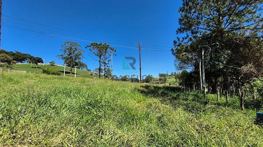 SÍTIO FORMADO COM FÁCIL ACESSO EM LAGOINHA-SP - Foto 2
