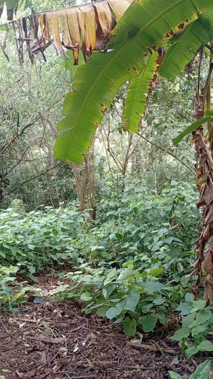 Casa - Foto 5