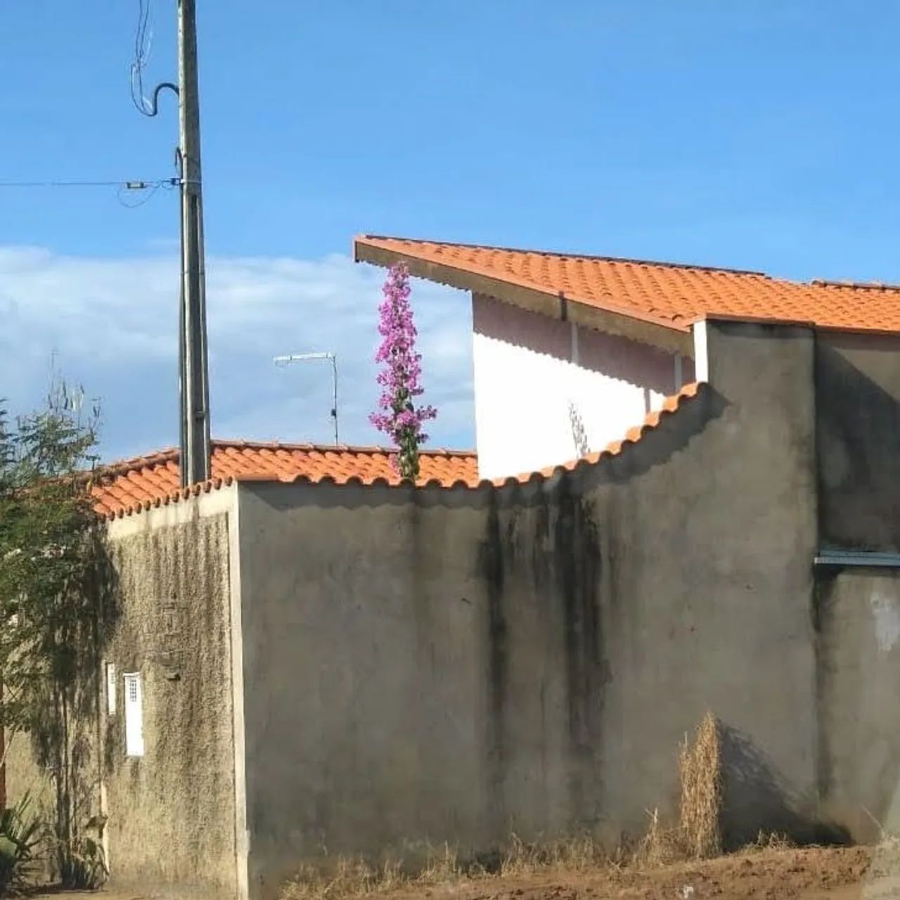 Linda casa com pomar , próximo a cachoeira de emas, Pirassununga SP  - Foto 2