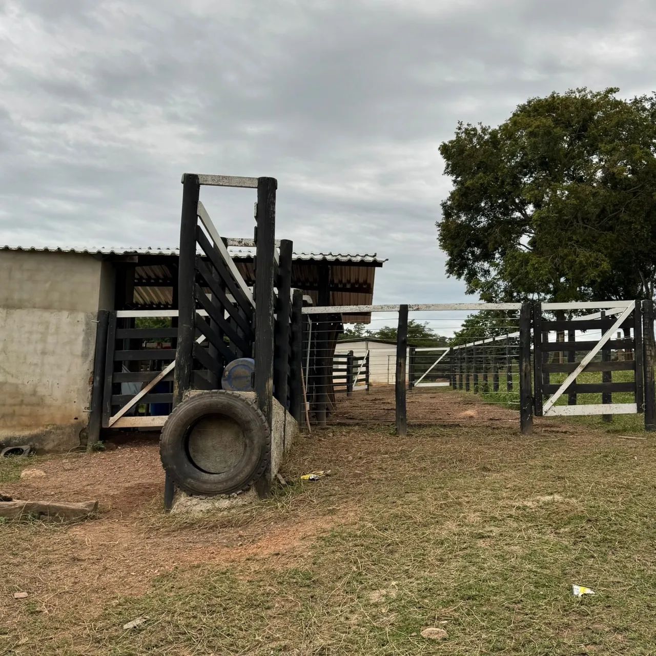 Chácara alto padrão 5 alqueires  - Foto 7