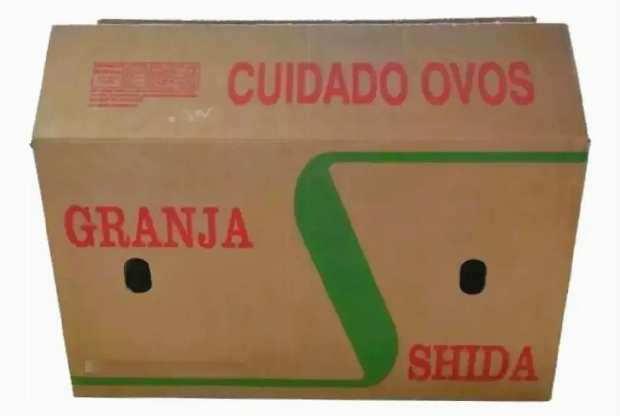 Caixa de ovo para mudança resistente 4,99 cada