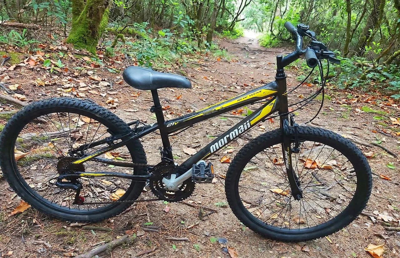 Bike aro 24