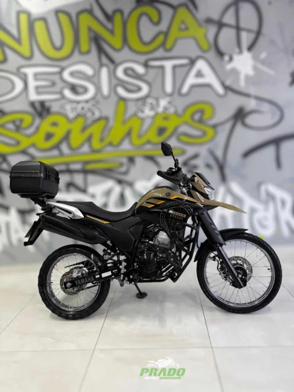 Xtz Lander 250 2024  - Foto 2