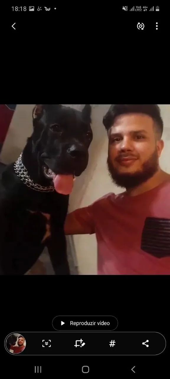 cão de guarda e proteção - Foto 2