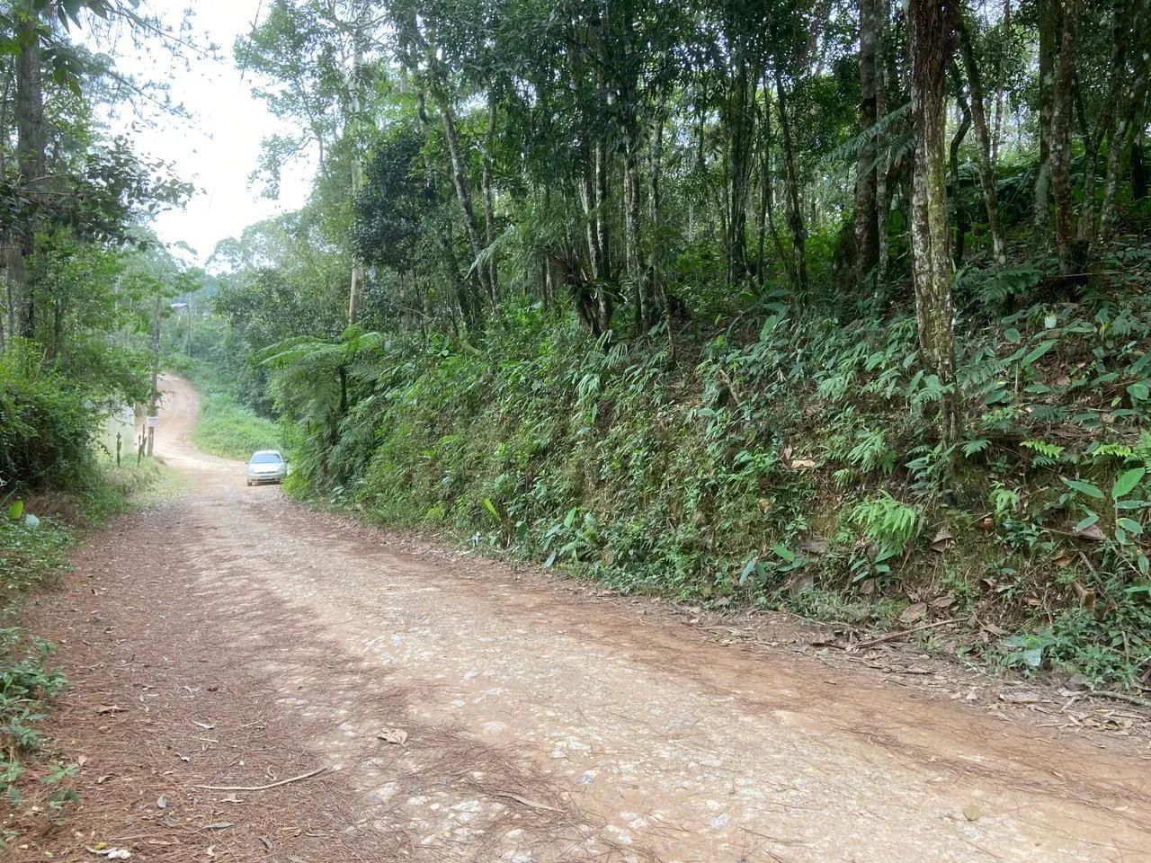 Foto - São Lourenço da Serra - 