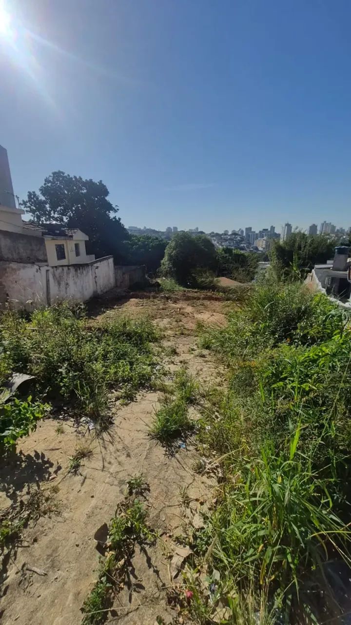 TERRENO 600M, VILA  PALMEIRAS - 6508 - Foto 4