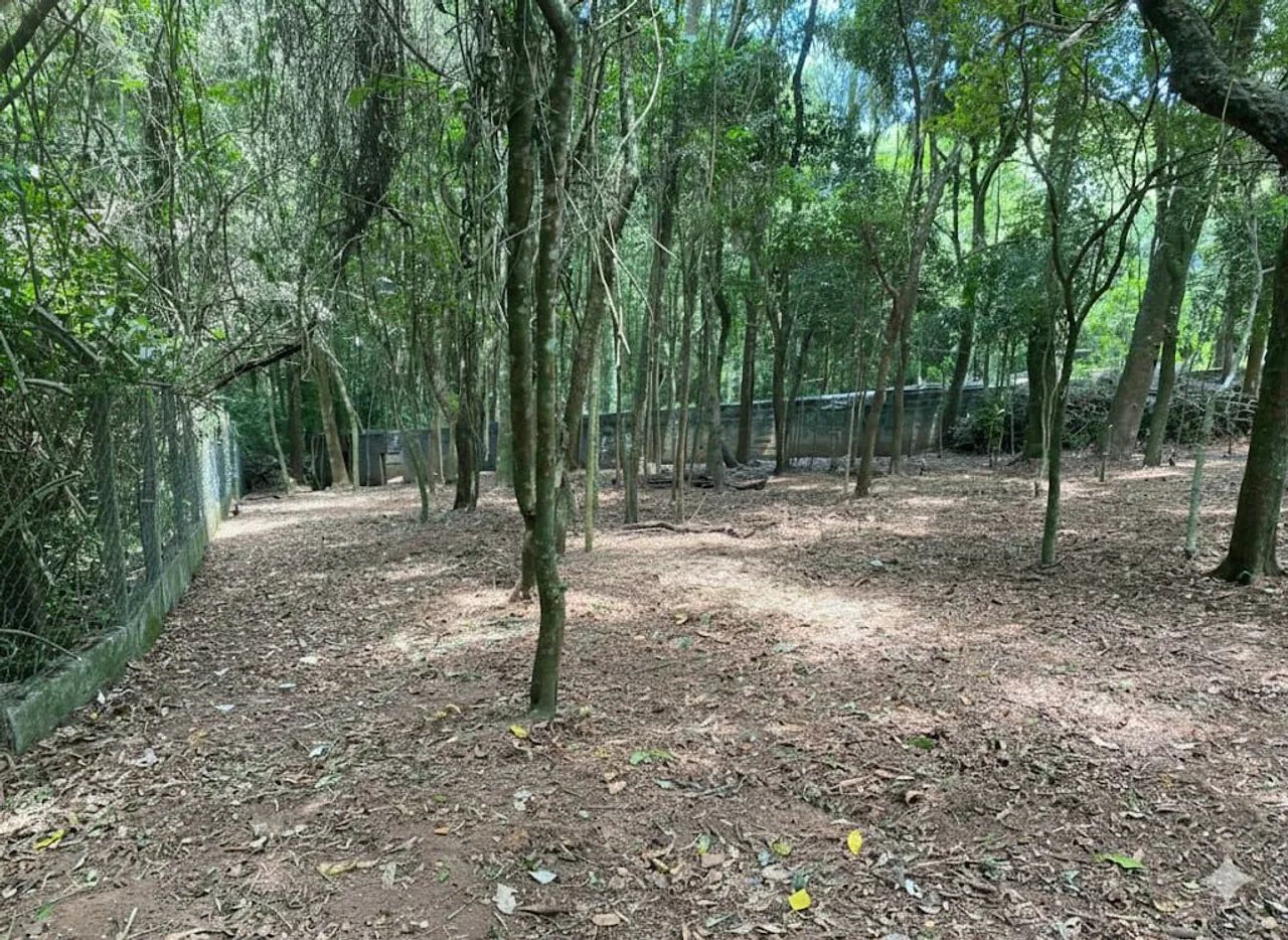 Foto - Ibiúna - 