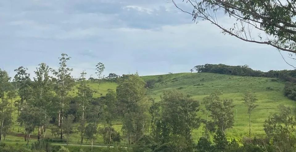 Foto - Conceição do Rio Verde - 