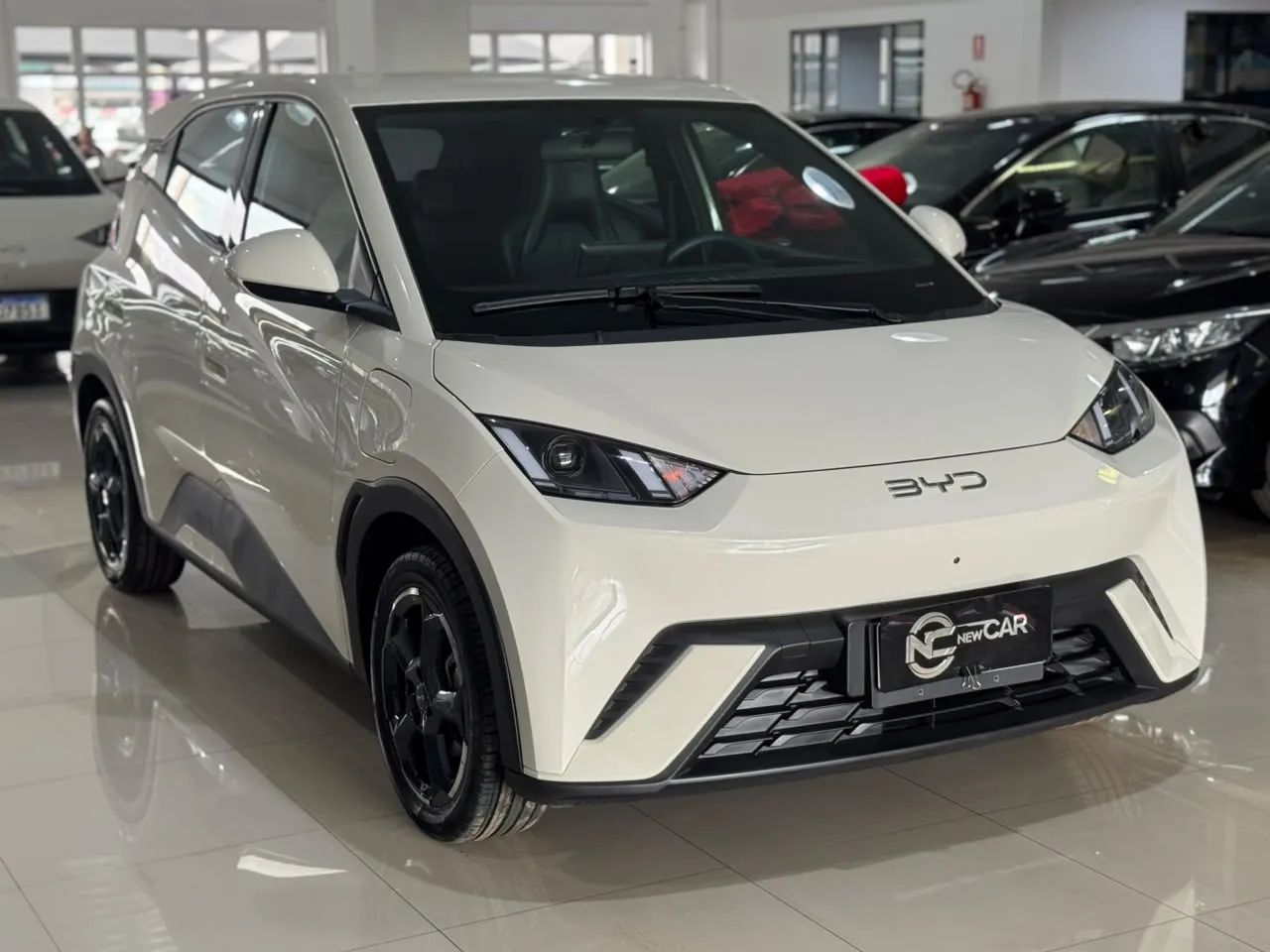 BYD Dolphin Mini (Elétrico) 2025