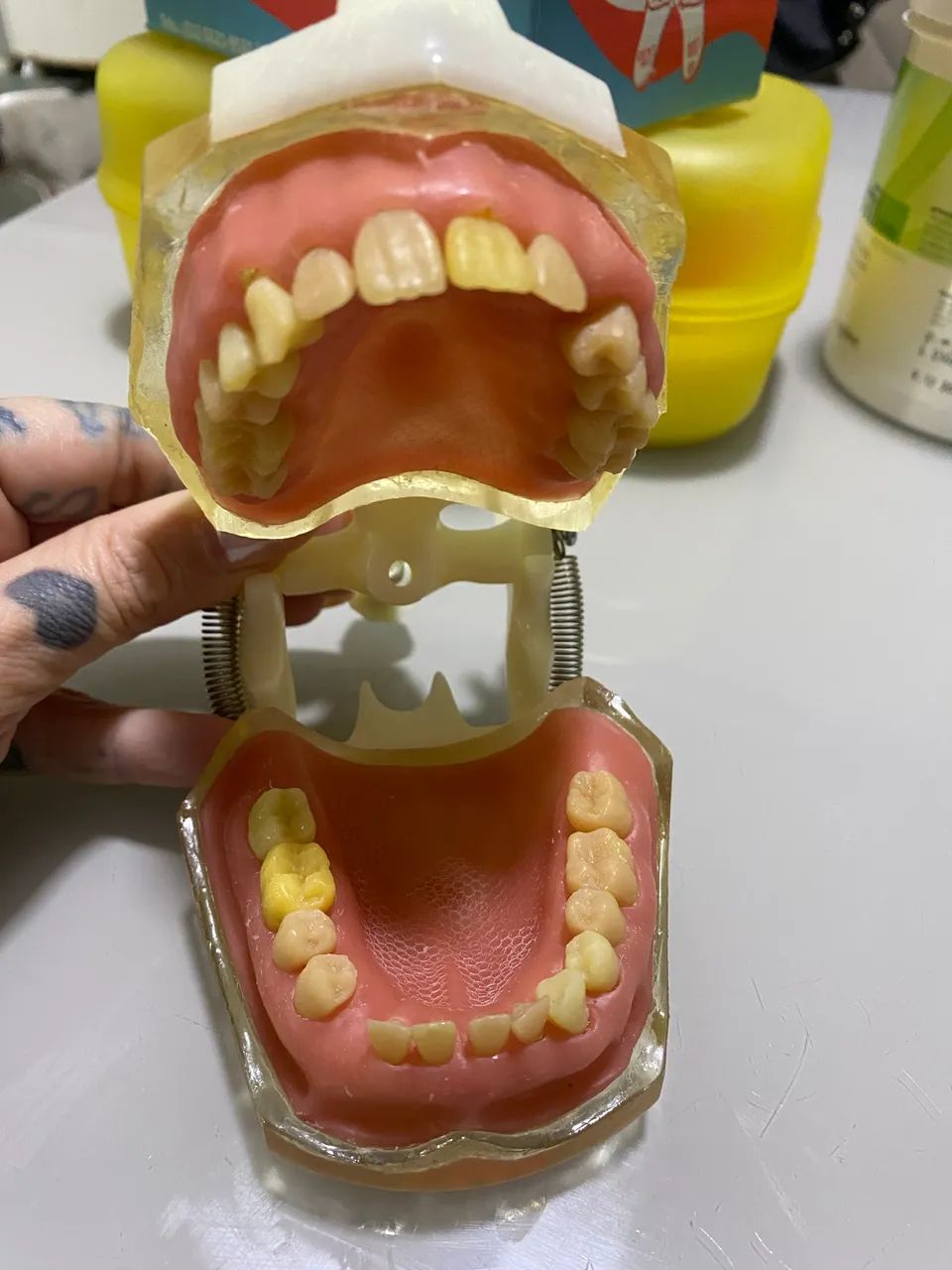 Manequim odontológico cirurgia  - Foto 2